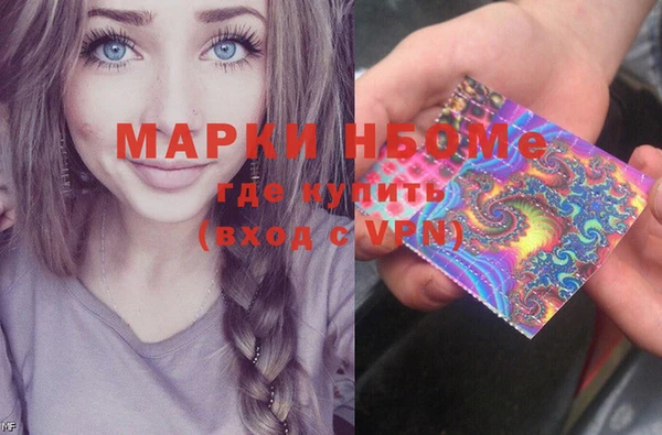 индика Балахна