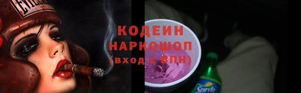 индика Балахна