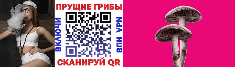 Псилоцибиновые грибы мицелий Белый